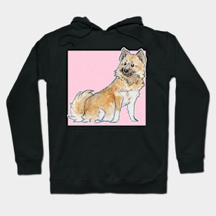 Icelandic sheepdog Hoodie